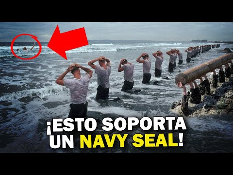 La disciplina en la Marina de los Estados Unidos: el temperamento del US Navy