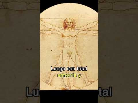 La camiseta del Hombre de Vitruvio: un homenaje a la genialidad de Leonardo da Vinci