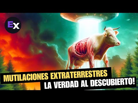 El fenómeno de la abducción de vacas por seres extraterrestres