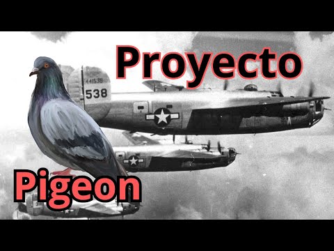El Proyecto Pidgeon: Comunicación aérea en tiempos de guerra