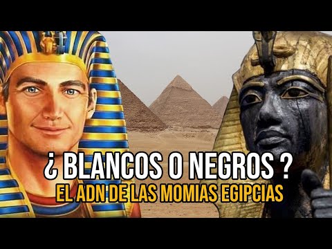 La relación entre los egipcios y los semitas