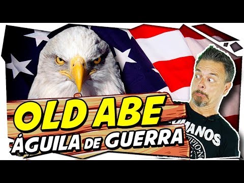 El simbolismo del águila calva y la bandera americana en Estados Unidos