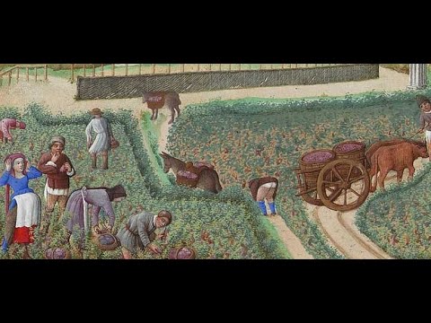 Herramientas agrícolas medievales: una mirada al pasado de la agricultura