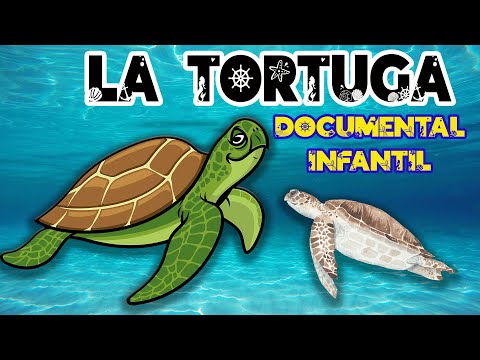 Formación de Tortugas en la Historia del Arte