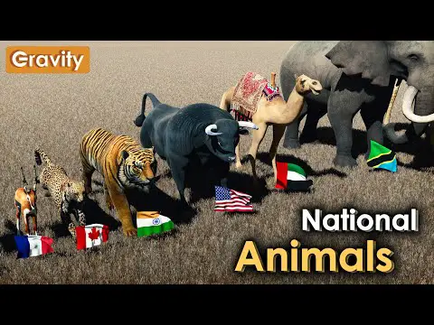 Animales más Representados en Banderas del Mundo.