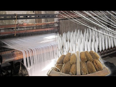 Tejedores escoceses: Historia y legado en la industria textil.