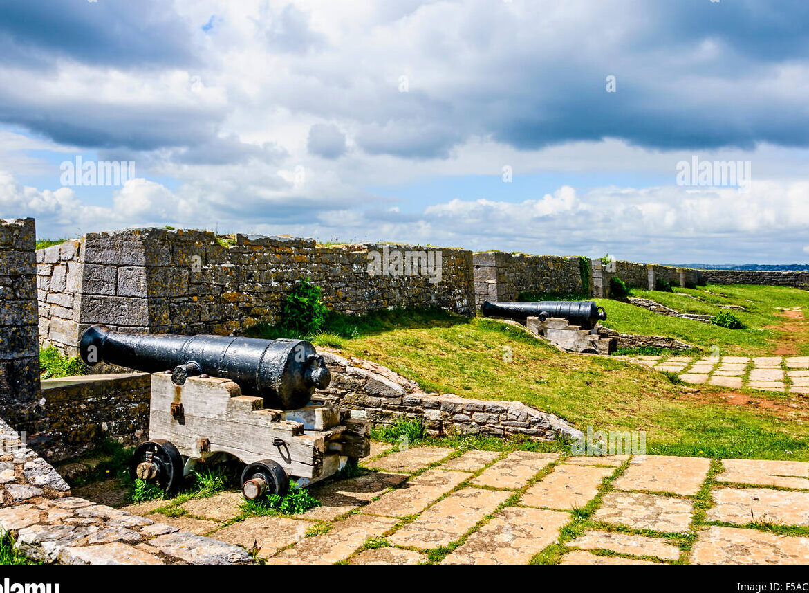 La historia detrás de los cañones napoleónicos