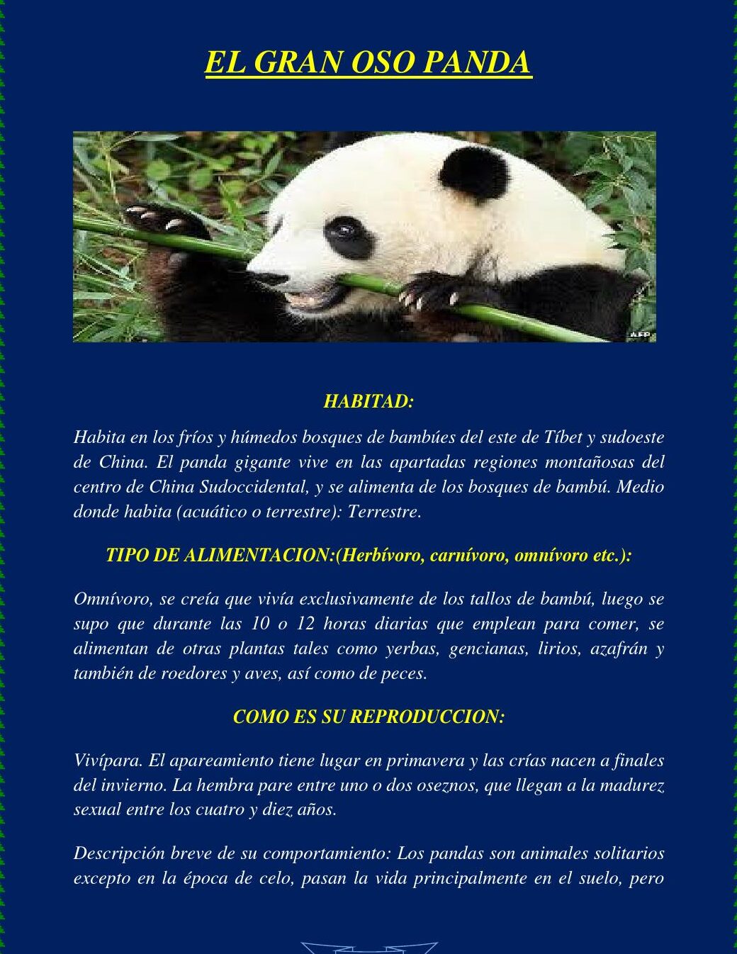 Cómo se dice oso panda en chino